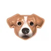 Jack Russell Terrier