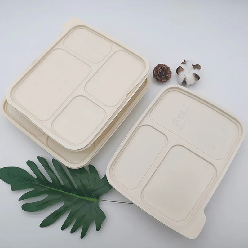 Eco Friendly Storage Containers Food Biodegradable Lunch Box Ecoware Packaging