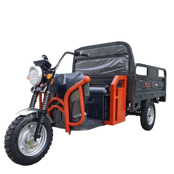 Hot Sale electric tricycles 1000w Open Body cargo bike with 1.6m long car box