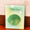 Lotus Leaf