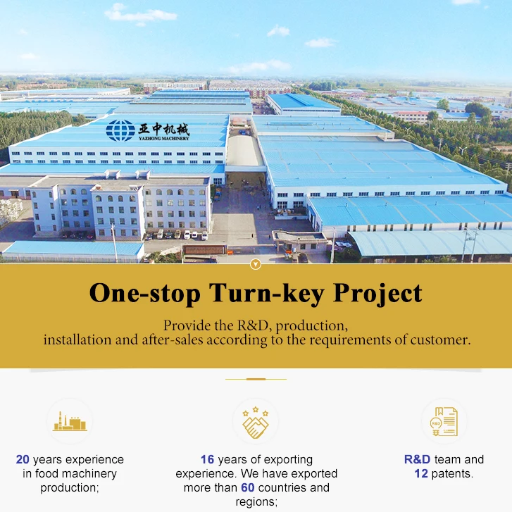 French Fries Processing Equipment Potato Sorting Machine