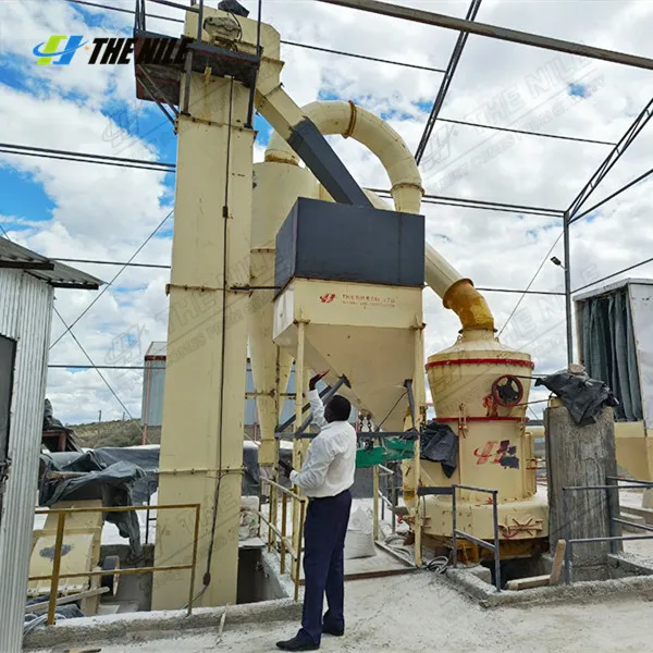 Promotional Different Type Quartz Limestone Kaolin Calcium Carbonate Gypsum Raymond Roller Grinding Mill Machine