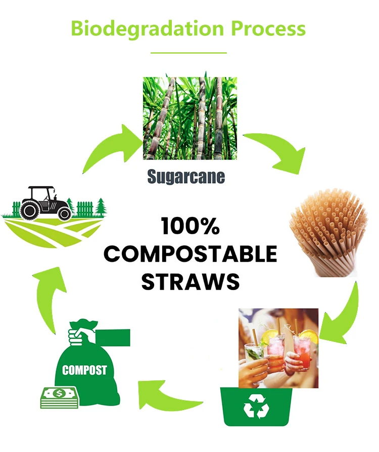 Compostable Pla Drinking Straw Individually Wrapped Paper Packaging