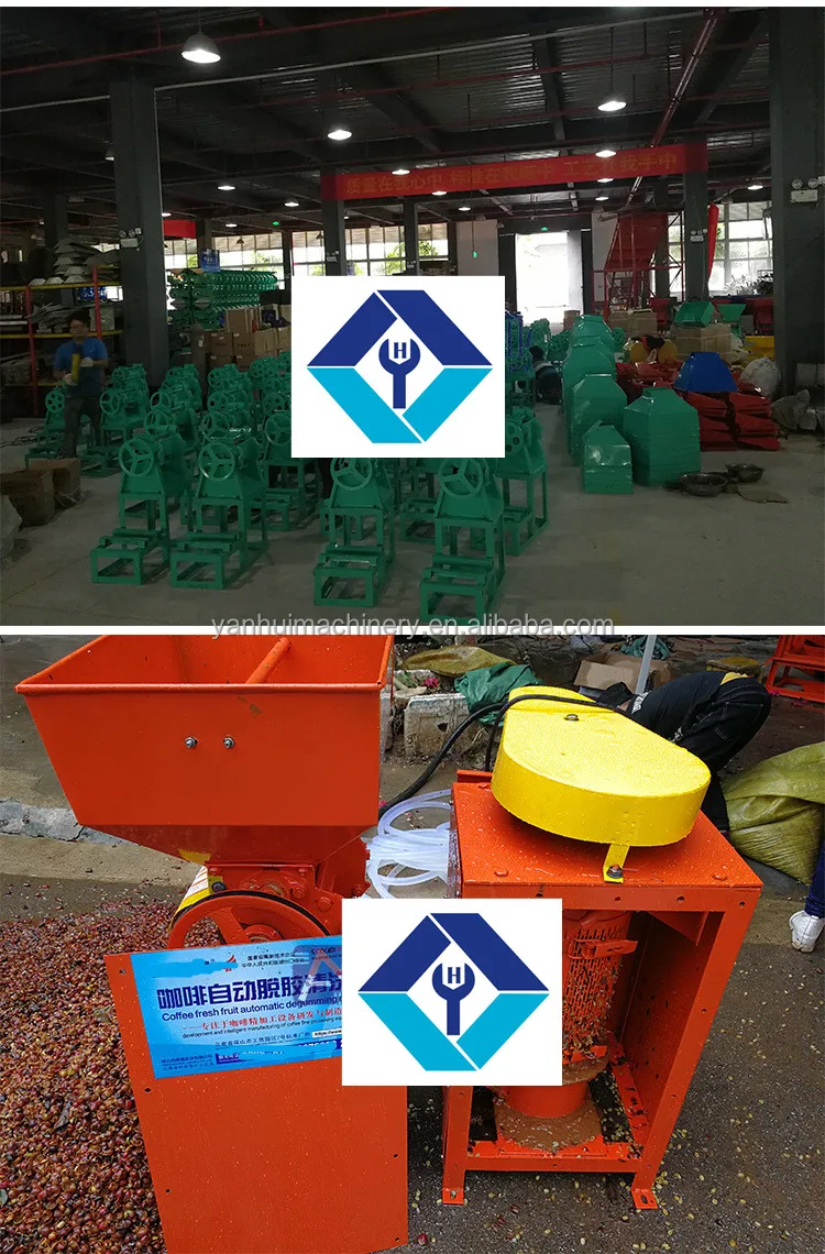 Adjustable Cherry Coffee Depulper / Stainless Coffee Pulping Machine