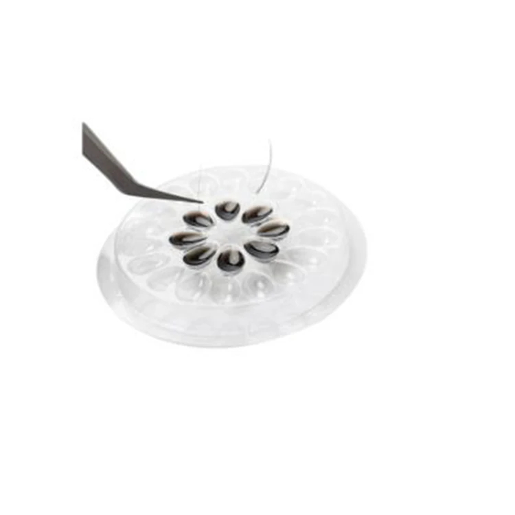 Оптовая продажа многоцветный одноразовый пластиковый поднос для клея ресниц с белой основой