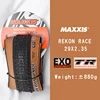 RACE 29X2.35 TR Fold