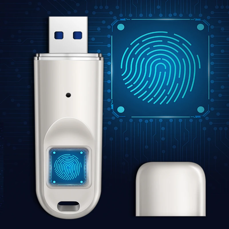 DM Fingerprint  USB Flash Drive Encryption With Customer logo Storage Device