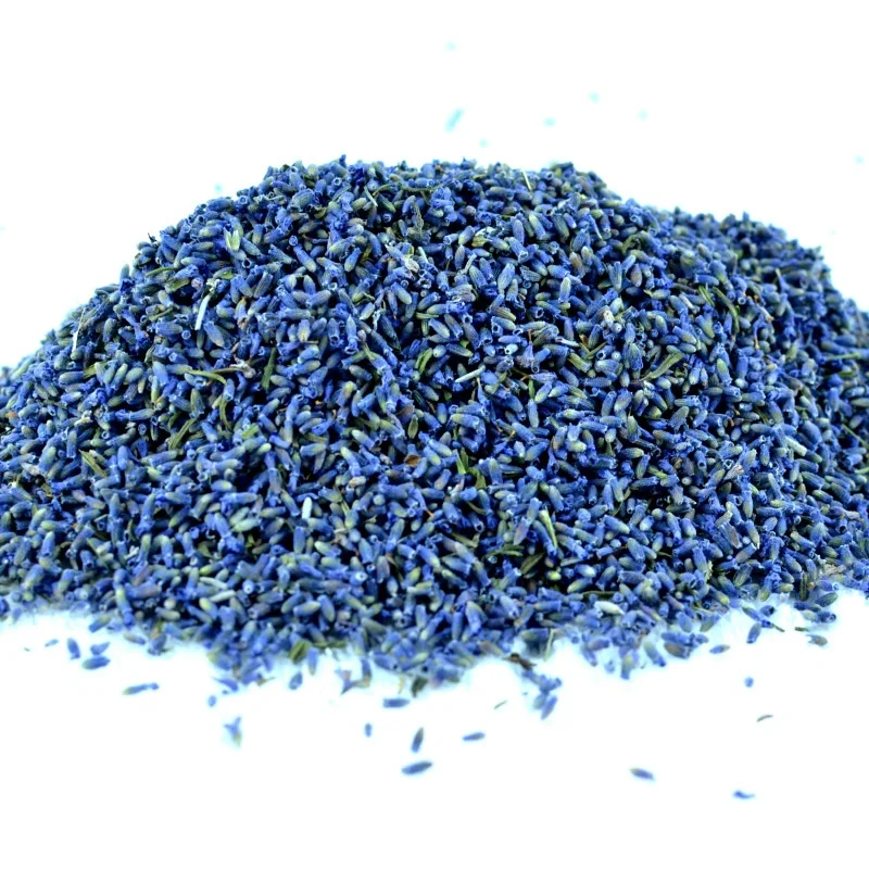 popular product yellowish green chamomile with unique floral