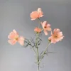 Rose corail moyen