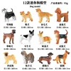 ลูกสุนัข KZ Mini สีสันสดใส (ชุด 12 แบบ)