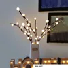 20LED กิ่งลูกบอลขนาด70ซม. WW
