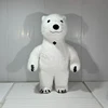 Orso polare