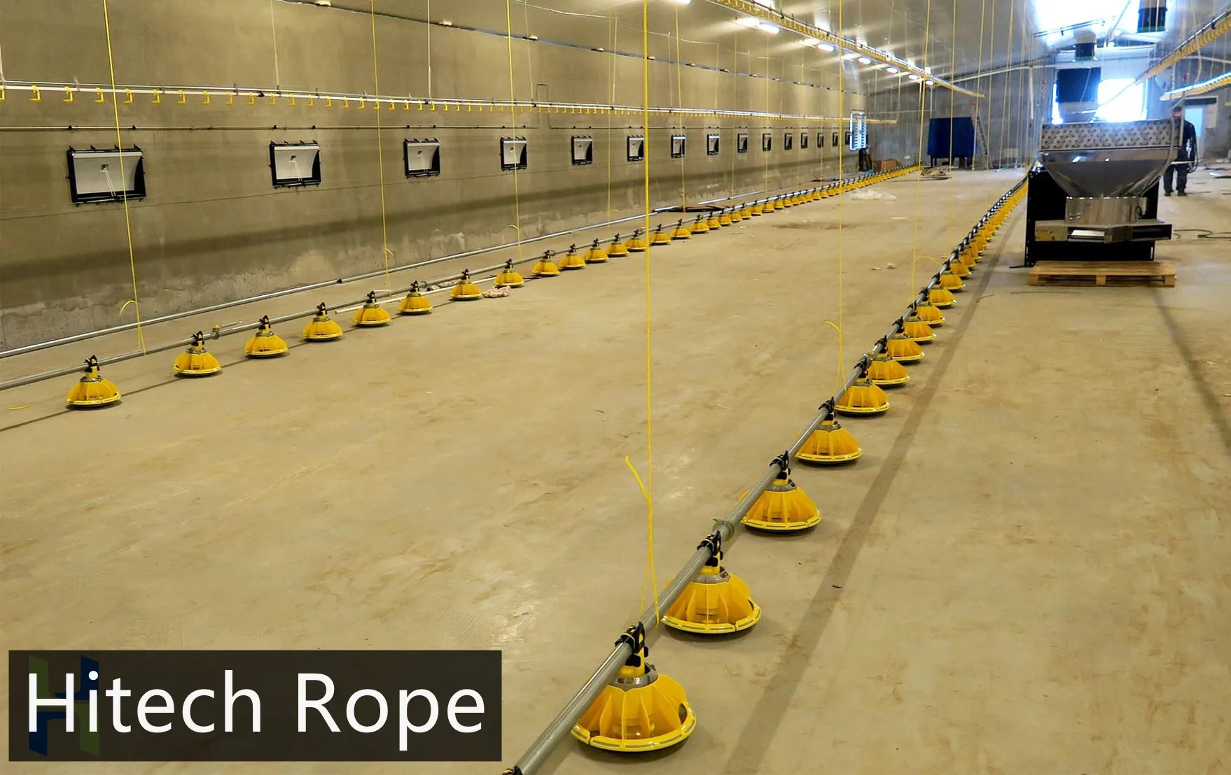 suspension cord-6.jpg