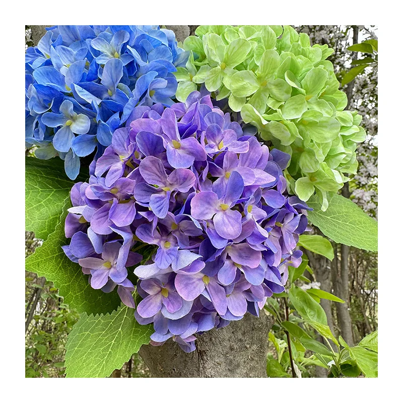 Stvorite uzbudljivo fokusno mjesto s privlačnim cvjetovima na zidu