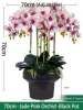 Jade Pink
