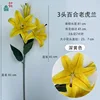 Orquídea tigre de tres cabezas, amarillo intenso