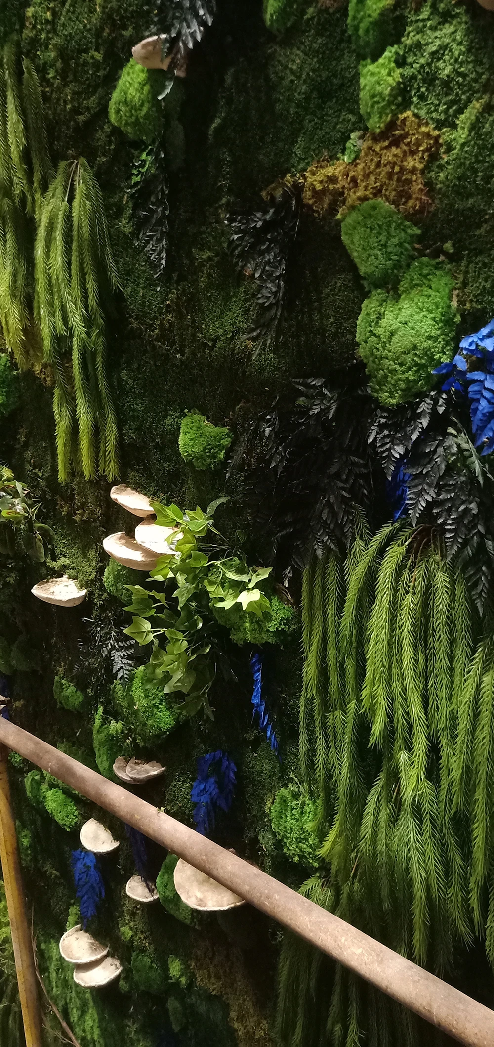 Customized Finished Moss Wall Ready Made Decoration Preserved ...