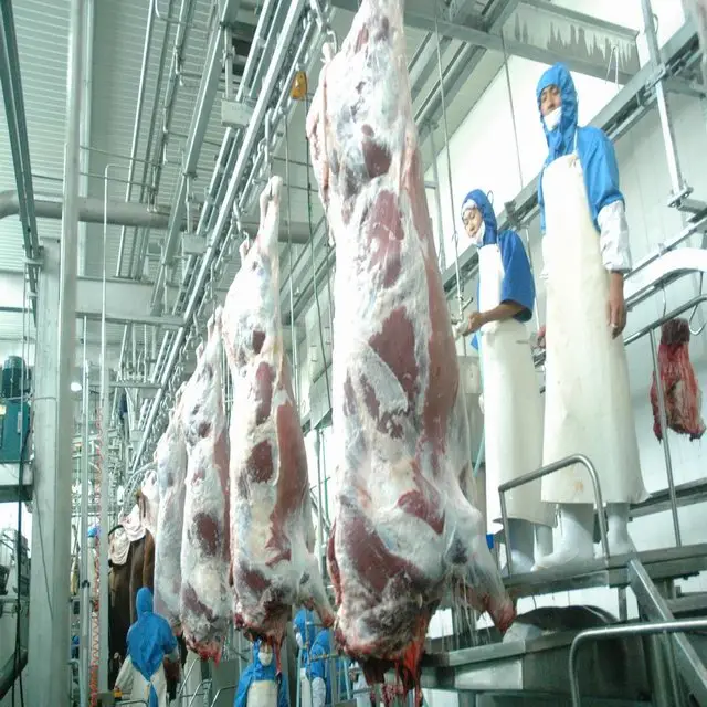Halal cattle slaughterhouse tools for slaughterhouse