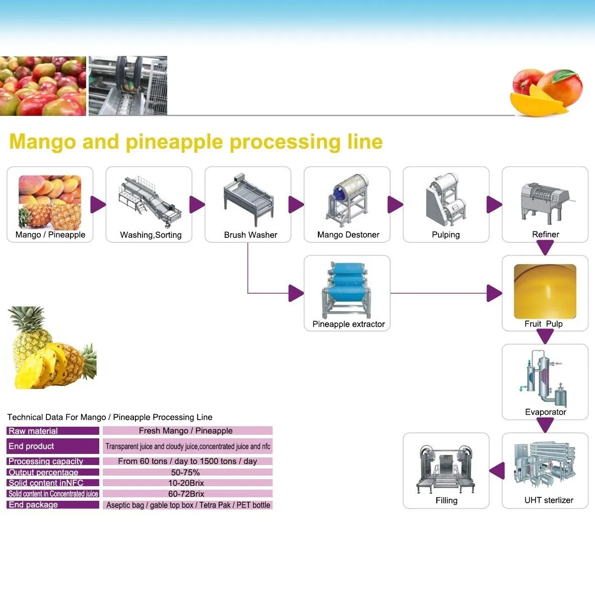 Complete Mango and Pineapple Production Plant Mango Juice Processing Line Customized Fruit Juice Making Machine Provided PLC 600