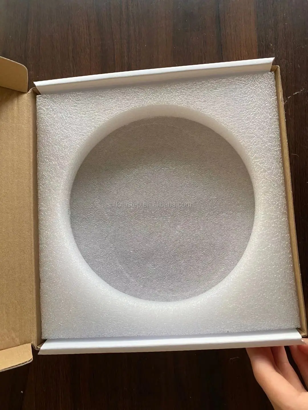Spherical Wheel (7)