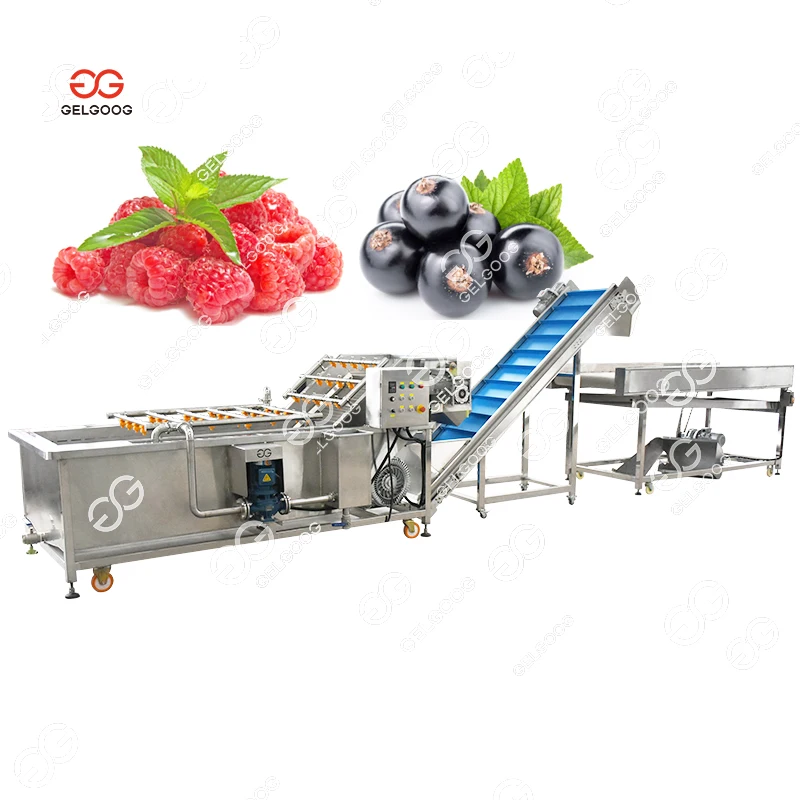 Automatic Frozen Pineapple Production Line Iqf Avocado Freezer Avocado Chunks Cherry Blast Freezing Machine