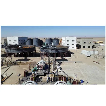 Automated Gold Mining Machinery Processing Plant,Gold Processing 500t/d Mobile Gold Elution Plant, Gold Cil Leaching Plant