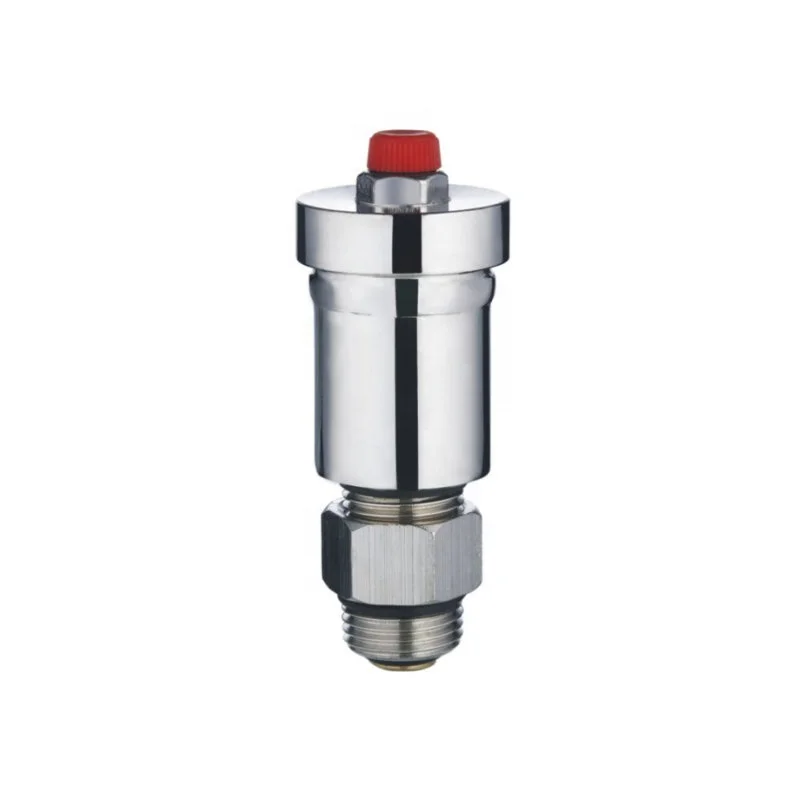 Competitive Price 1/2" BSP Sanitary Forged Air Released Vent Valve
