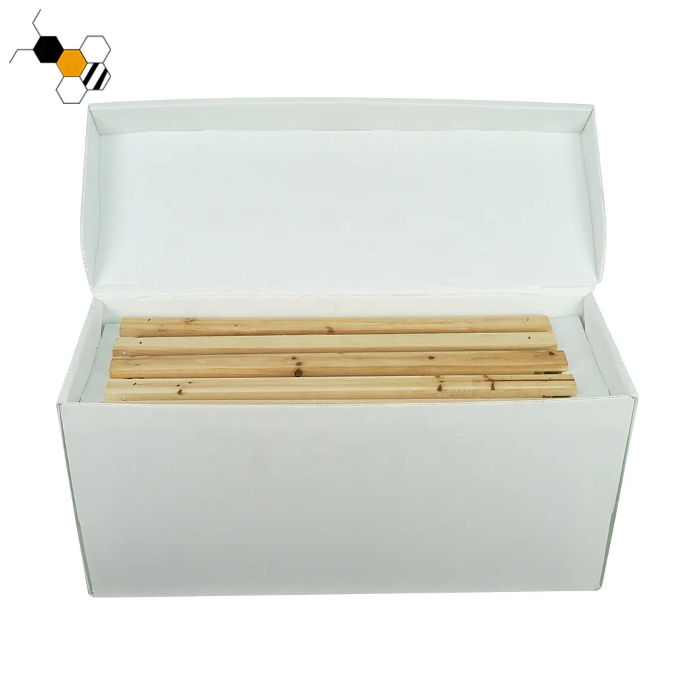 Queen Rearing PP Cardboard Nuc Box Nucleus 5 Frame Plastic Nuc Bee Boxes