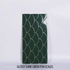 Glossy fish scales