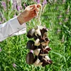 Style 1