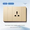 1 gang 2 way switch with 3P socket