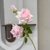 Corolla Rose Rose clair