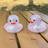 Pato transparente B