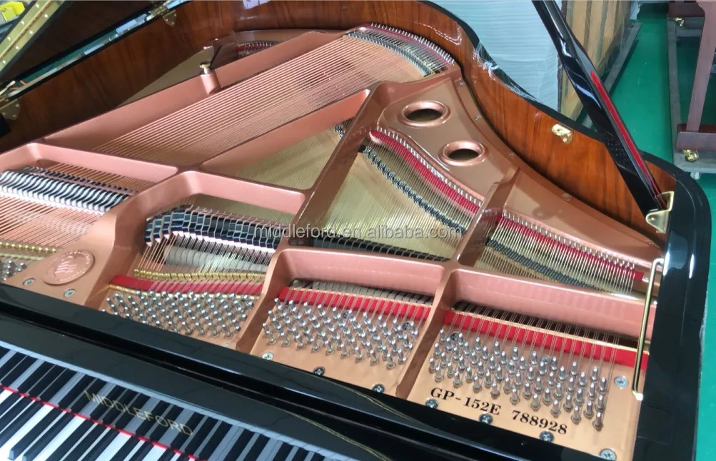 Acoustic Grand Piano Action Mold - 12 Keys for Piano Shop Display