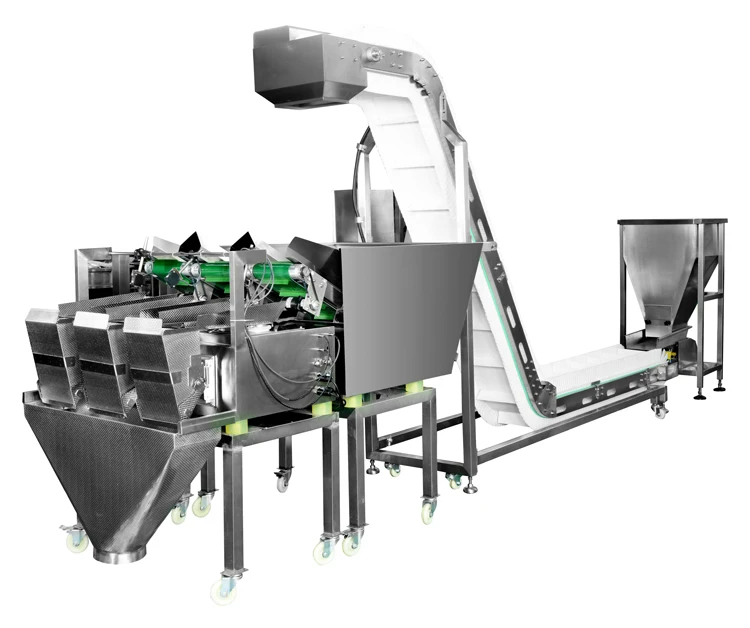 Weighlin Mini Smart Automation 2 3 Head Linear Belt Weigher Doser Packing Machine
