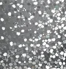 Pebble