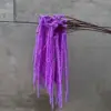 สีม่วง