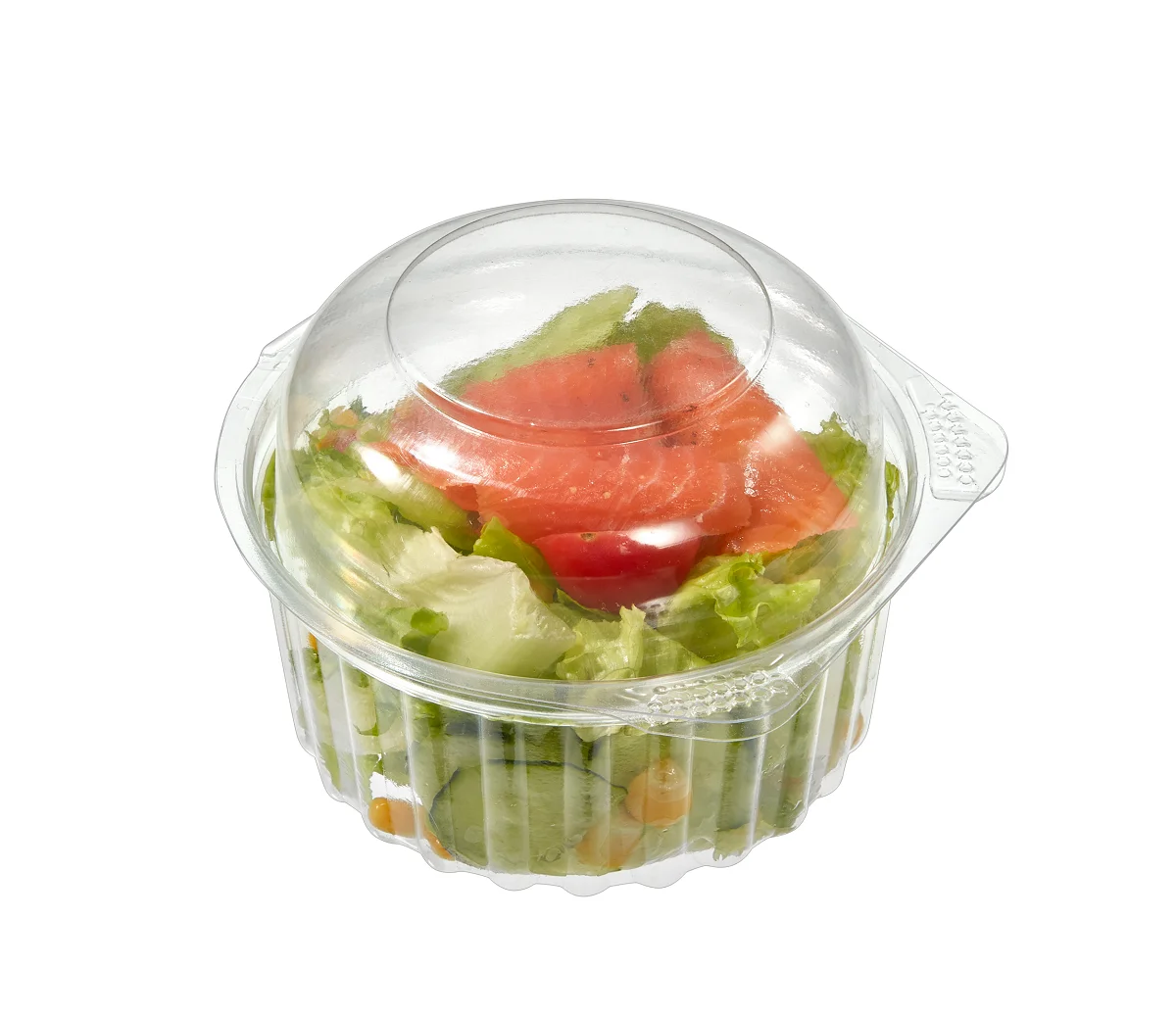 Transparent Salad Box