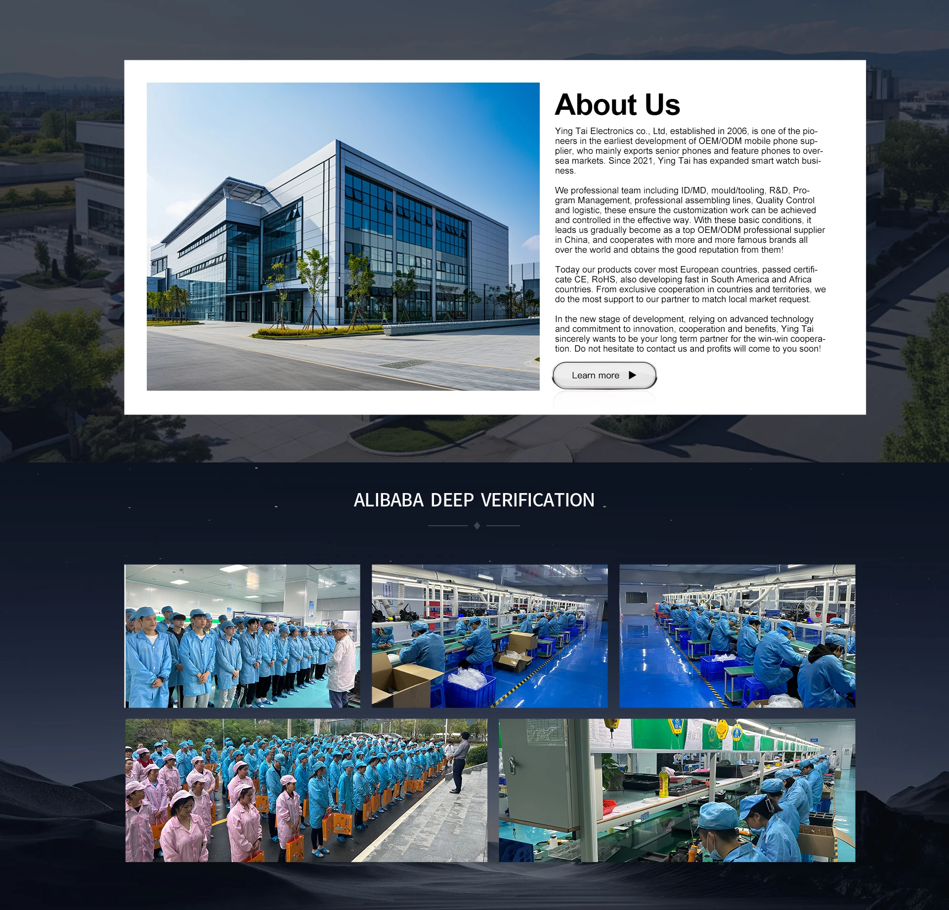 Company Overview - Ying Tai Electronics Co., Limited