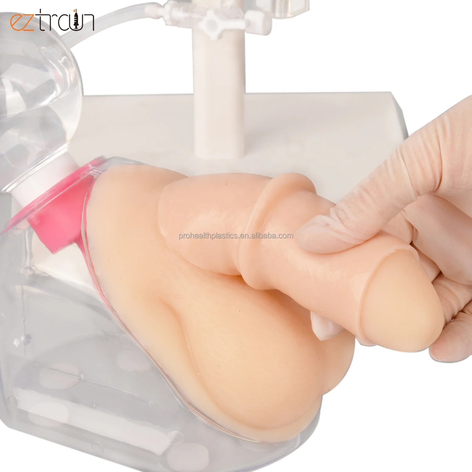 Medical Science Male Urinary Catheterization Model Catheter Model Bladder Catheterization Trainer for Nursing Center