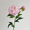 Rosa claro