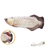 6. Argent Arowana