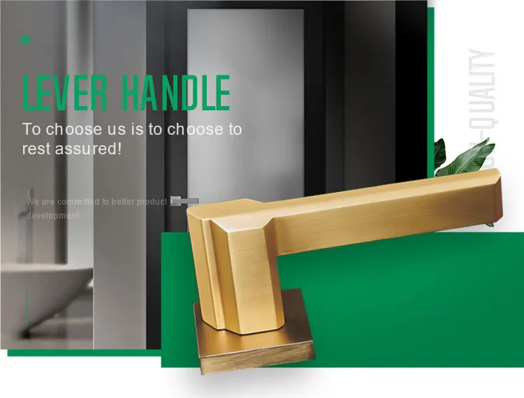 Doorplus Best Quality Door Handle Zinc Alloy Gold Luxury Door Handle