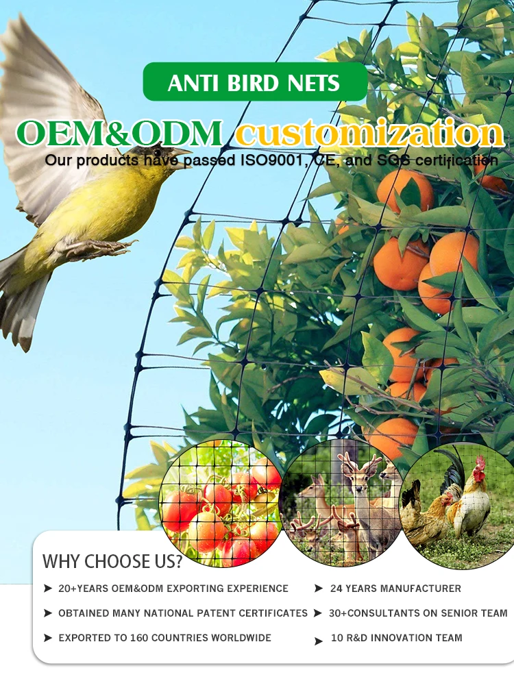 2m*10mcustomizable Various Agricultural Anti Bird Netting To Protect