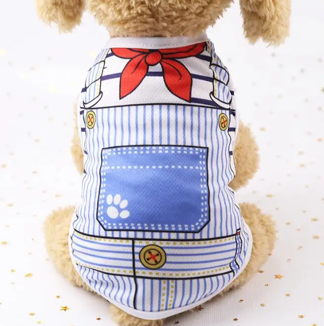 teddy bear designer dog