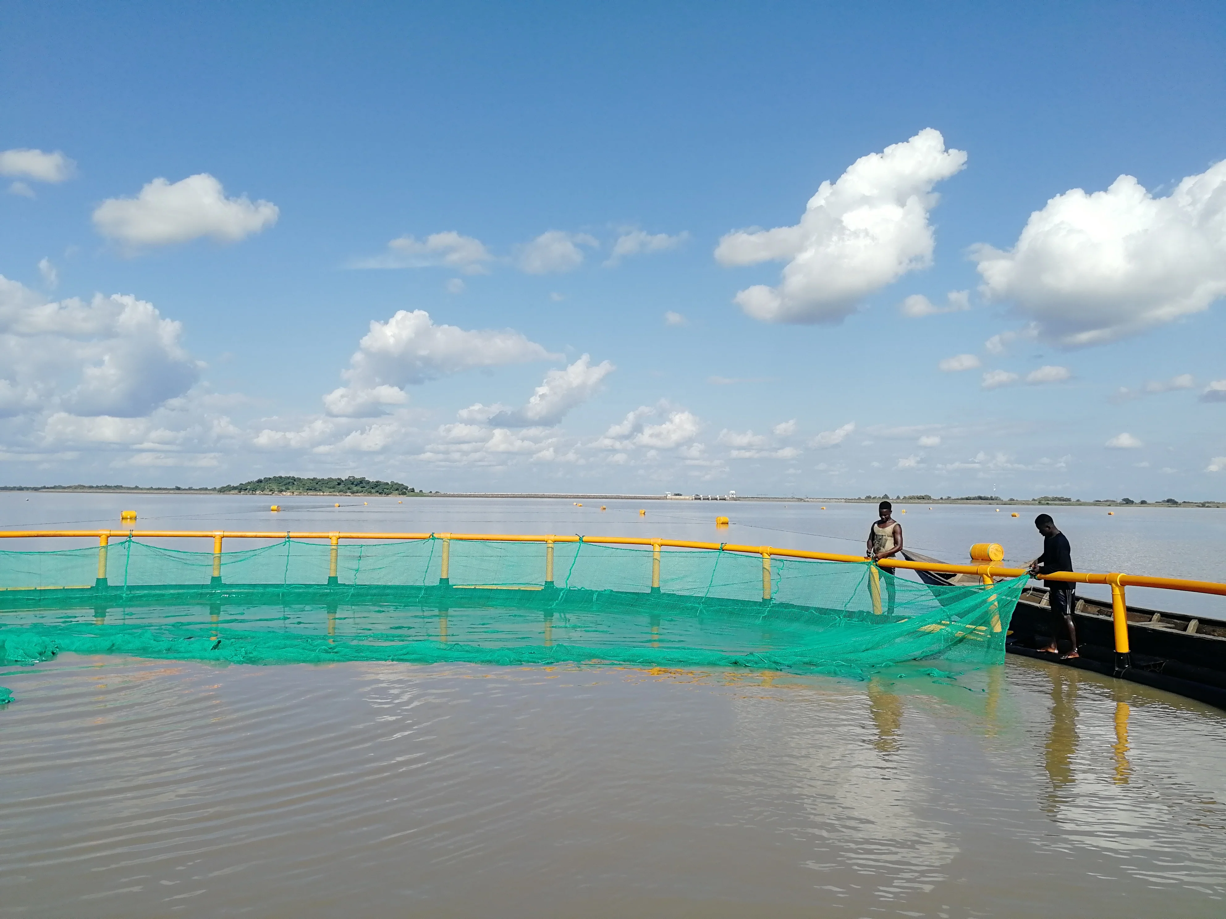 Hdpe Fish Farm Net Cage,Tilapia Floating Net Cage - Buy Fish Farm Net ...