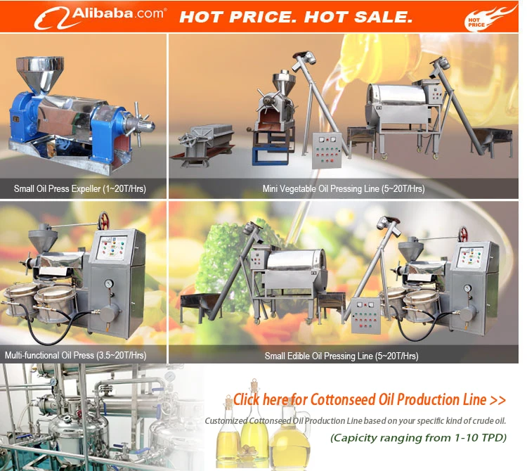 mini hydraulic cold press oil vacuum portable hydraulic oil press machine for oil extraction