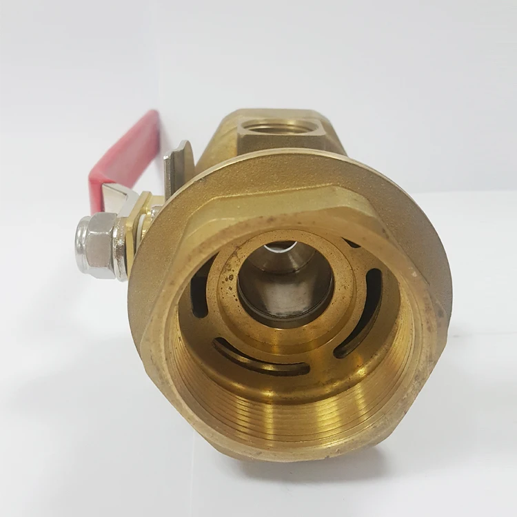 Test & Drain Valve