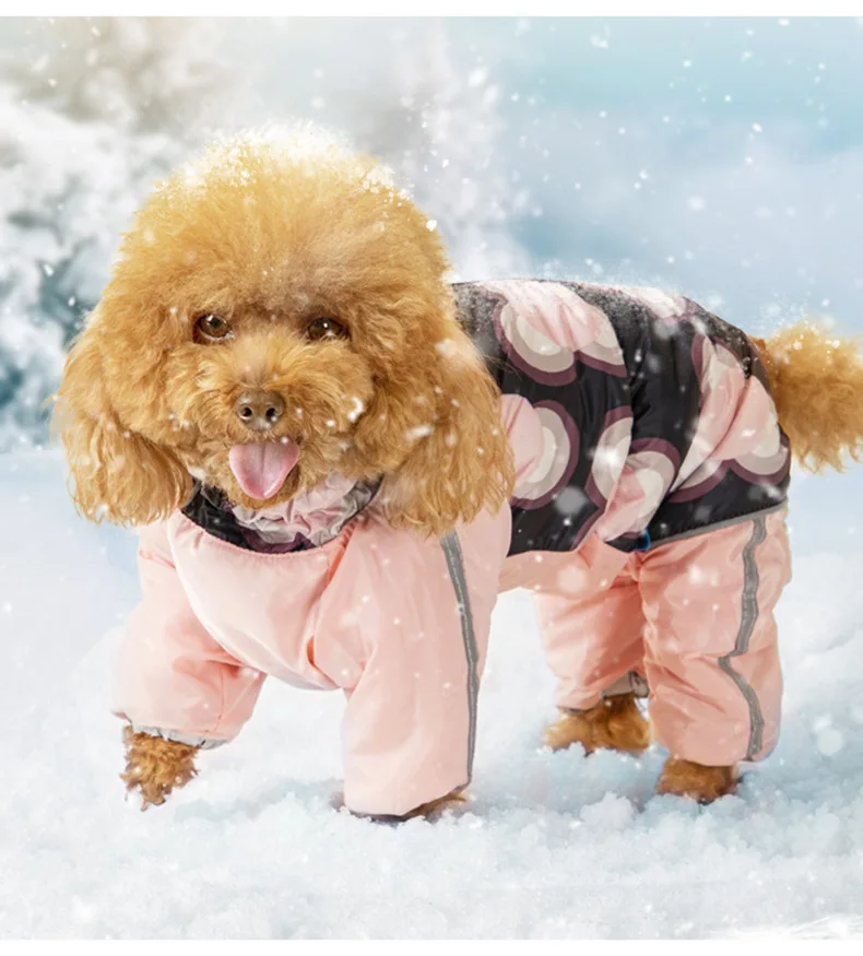 Pet Clothing,Fully Wrapped In Autumn And Winter,Four Legged Dog Breeds
