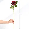 sola rosa roja oscura